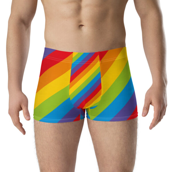 Rainbow Boxer Briefs